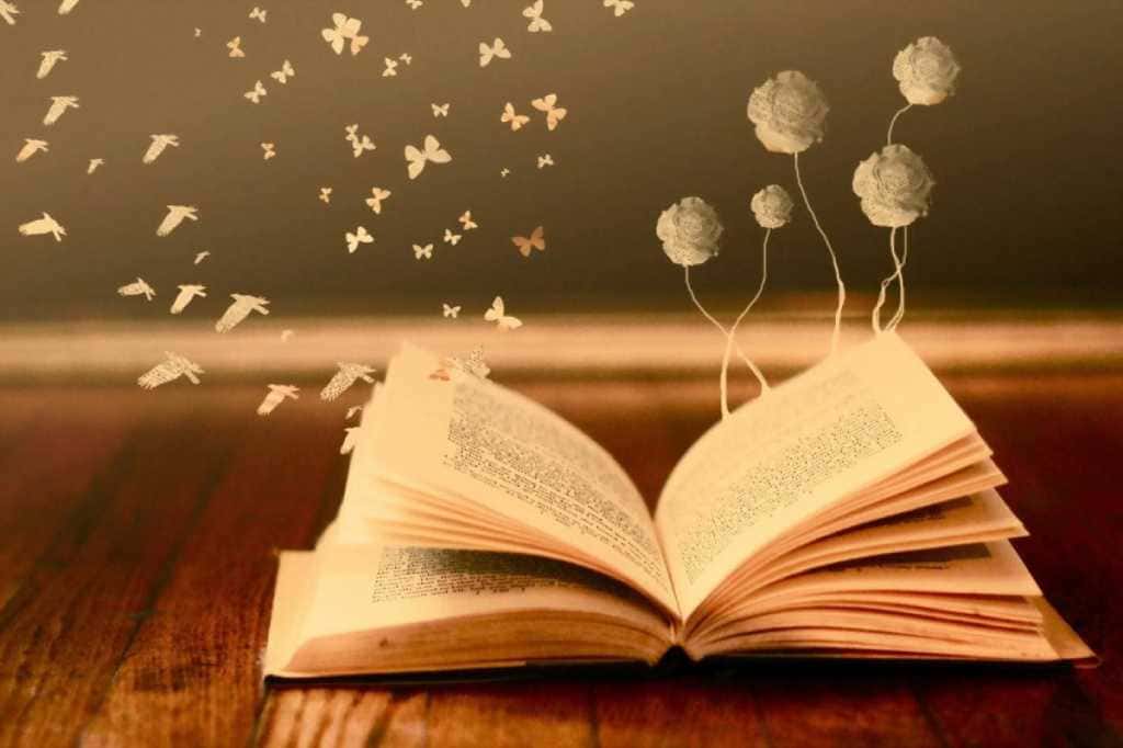 книга