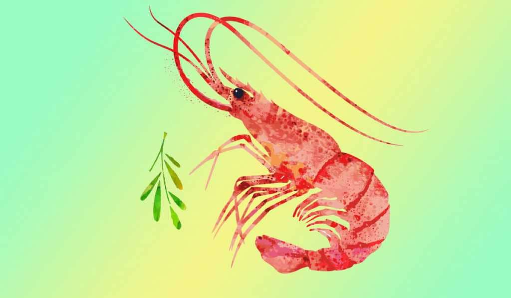 морепродукти морепродукти