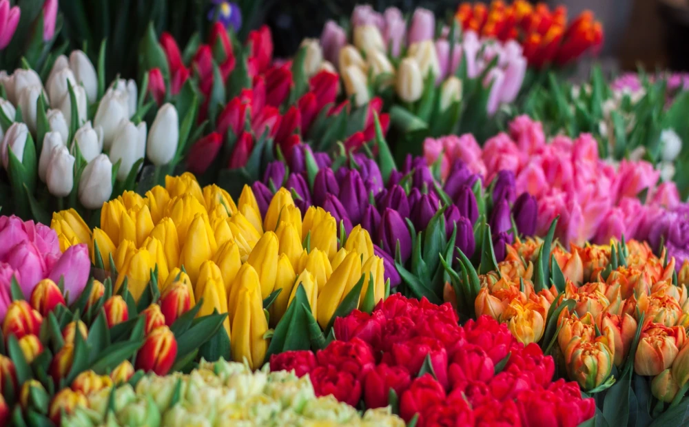 1679476348_1000x620.webp.webp