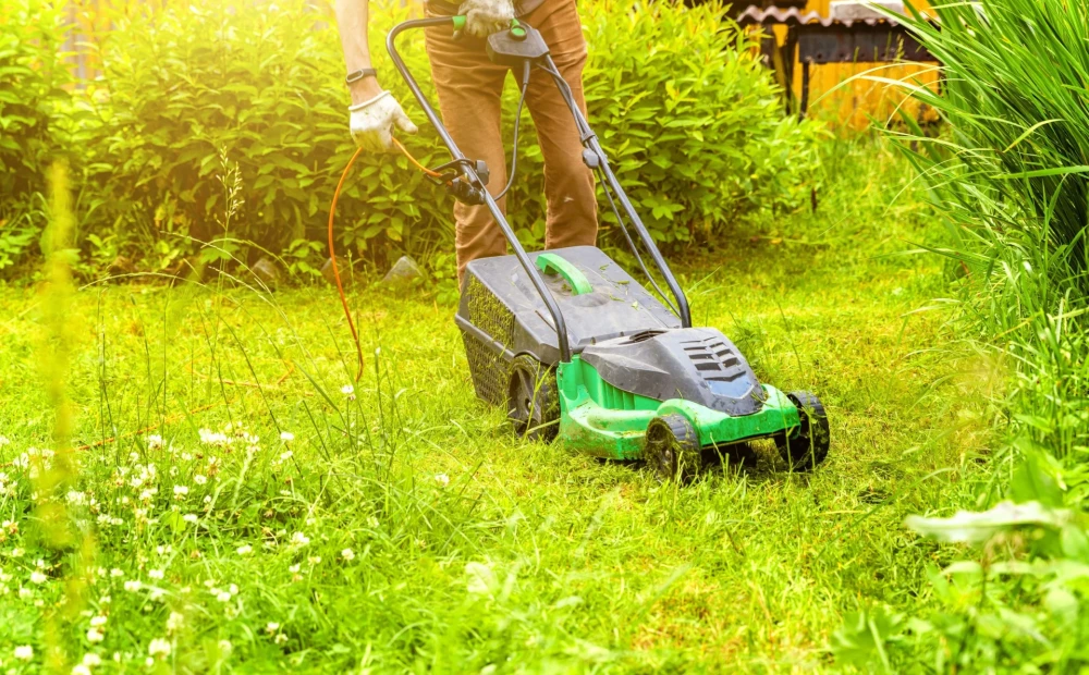 1686400155_1000x620.webp.webp