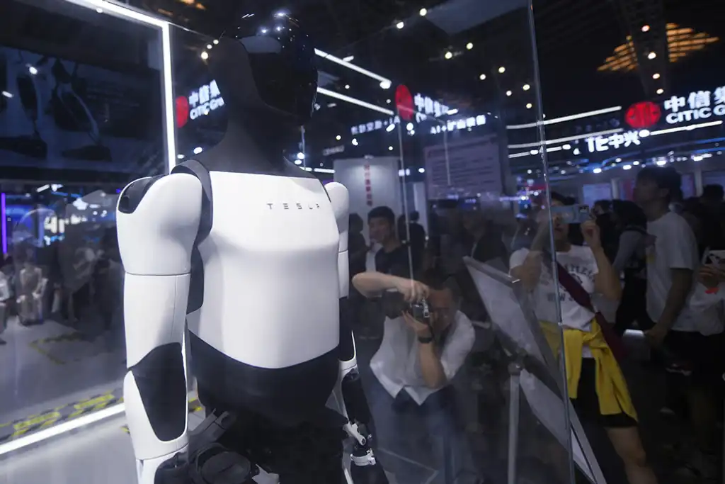 Tesla Bot