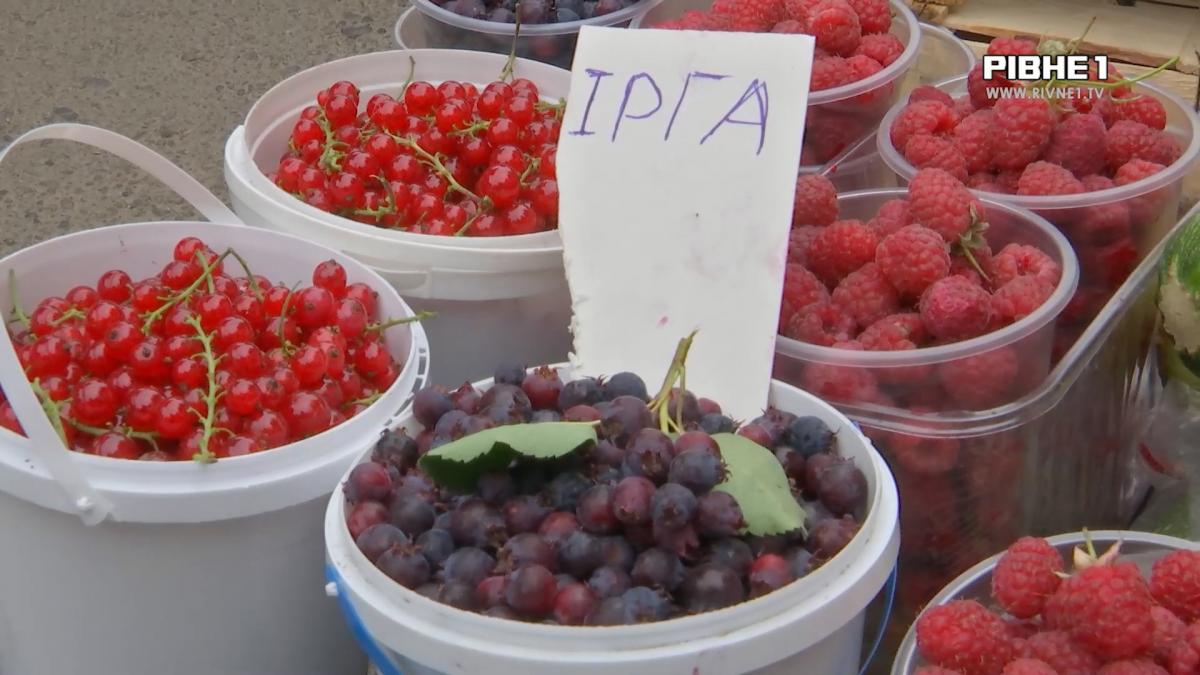 Вітаміні з прилавка: скільки коштують крыжовник, смородина, малина та кукурудза